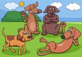 cartoon dogs and puppies characters group in the meadow Royalty Free Stock Photo