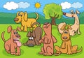 cartoon dogs and puppies characters group in the meadow Royalty Free Stock Photo