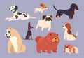 Cartoon dogs. Puppy pet different breeds. Chow chow, dachshund and dalmatian, pit bull and pekingese, pug and beagle