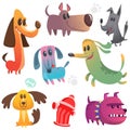 Cartoon dogs set. Bulldog poodle chihuahua dachshund jack russel terrier corgi and doberman. Vector illustration Royalty Free Stock Photo