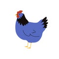 Cartoon domestic chicken. Cute hen farm animal, poultry character organic eco food concept. Vector flat illustration