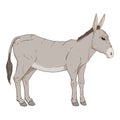 Cartoon Donkey. Vector Hand Drawn Illustration