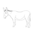 Cartoon donkey ,vector illustration , lining draw ,profile