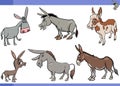 cartoon donkeys farm animals comic characters set Royalty Free Stock Photo