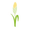cartoon doodle of fresh corn on the cob Royalty Free Stock Photo