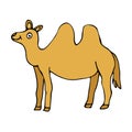 Cartoon doodle happy camel isolated Royalty Free Stock Photo