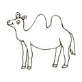 Cartoon doodle happy camel isolated on white background.  Childlike style. Royalty Free Stock Photo