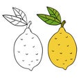 Cartoon doodle lemon with green leaves isolated on white