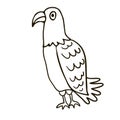 Cartoon doodle linear eagle isolated Royalty Free Stock Photo