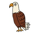 Cartoon doodle linear eagle isolated Royalty Free Stock Photo