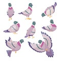 Cartoon dove. Cute city pigeons, funny urban birds characters, different poses, flying, sitting and standing, cleaning