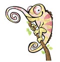 Cartoon drawing of a chameleon lizard reptile