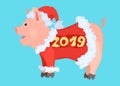 Cartoon drawing. New Year`s piglet dressed in a fur coat