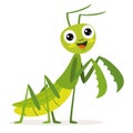 Cartoon Drawng Of A Praying Mantis Royalty Free Stock Photo