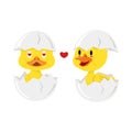 Cartoon Duck couple in love in egg flat