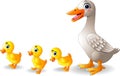 Cartoon duck family cartoon