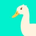 Duck head profile side vector illustration flat Royalty Free Stock Photo