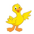 Cartoon Duck