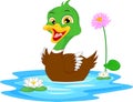 Cartoon duck swimming