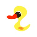 Cartoon duck on a white background