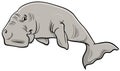 Cartoon dugong sea mammal animal character