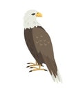 Cartoon eagle icon on white background. Royalty Free Stock Photo