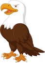 Cartoon eagle posing Royalty Free Stock Photo