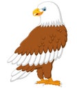 Cartoon eagle posing Royalty Free Stock Photo