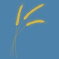 Cartoon ears of wheat Harvest symbol