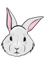 Cartoon Easter bunny face.Vector. Royalty Free Stock Photo