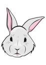 Cartoon Easter bunny face.Vector.