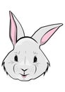 Cartoon Easter bunny face.Vector. Royalty Free Stock Photo