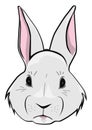 Cartoon Easter bunny face.Vector.