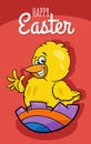 cartoon Easter Chick hatching from Easter egg greeting card Royalty Free Stock Photo