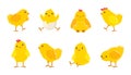 Cartoon Easter chicks. Baby farm birds with yellow feathers. Cheerful little chickens and roosters activities. Domestic