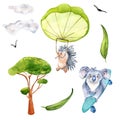 Cartoon echidna with parachute, koala on board watercolor illustration isolated on white.