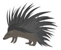 Cartoon echidna. Vector illustration of echidna. Drawing animal for children. Zoo for kids.