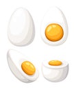 Cartoon egg isolated on white background. Set of fried, boiled, half, sliced eggs. Vector illustration. Eggs in various forms. Web Royalty Free Stock Photo