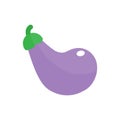 Cartoon eggplant or aubergine icon. Flat design on white background