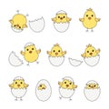 Cartoon eggs chick and shells, yellow baby chickens. Vector Royalty Free Stock Photo