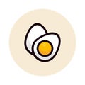 Cartoon eggs set icon vector