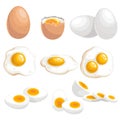 Cartoon eggs set. Whole, fresh, boiled, fried, double eyed eggs. Single and group. Sliced and whole. Vector illstrations