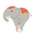 Cartoon Elephant Balancing on a Ball Royalty Free Stock Photo