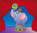 Cartoon elephant on circus stage 1 Royalty Free Stock Photo