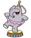 Cartoon Elephant circus