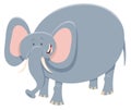 Cartoon elephant safari animal character