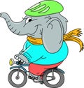 Cartoon elephant wearing a hat and a scarf riding a bicycle vector illustration Royalty Free Stock Photo