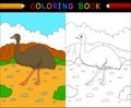 Cartoon emu coloring book, Australian animals series Royalty Free Stock Photo