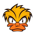 Cartoon evil face duck on the grey background. Royalty Free Stock Photo