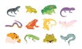 Cartoon exotic amphibian and reptiles, lizards, newts, toads and frogs. Tropical animals, gecko, triton, salamander and axolotl